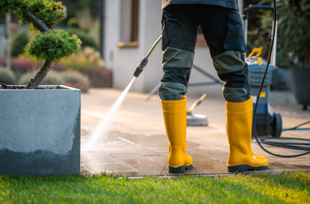 Roof Power Washing Services in Coarsegold, CA